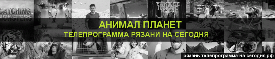 Телепрограмма на сегодня канала Анимал Планет, Рязань